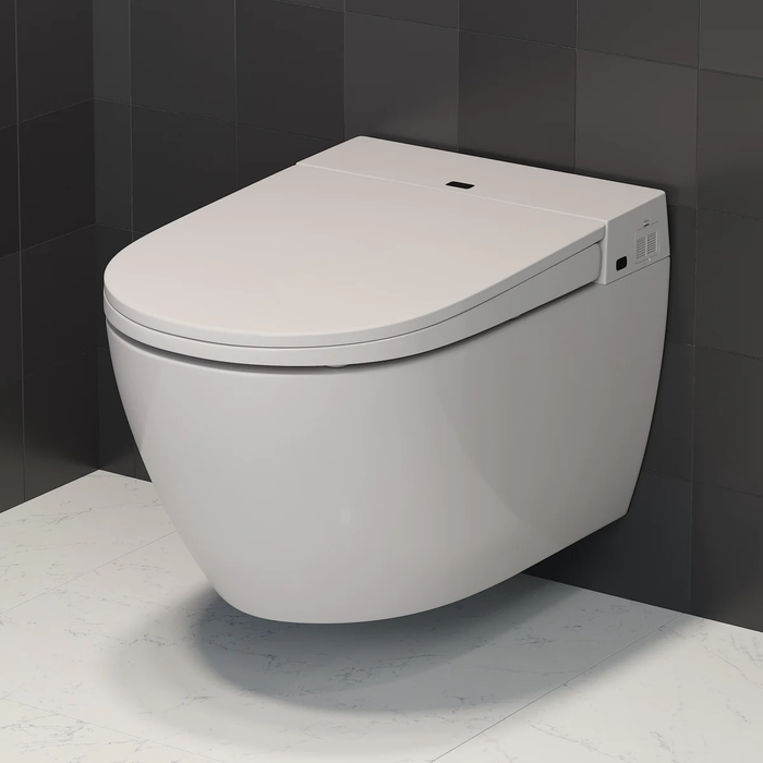 Wall-Hung Fjäll Bidet Toilet